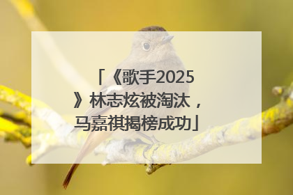 《歌手2025》林志炫被淘汰，马嘉祺揭榜成功