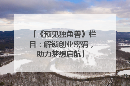 《预见独角兽》栏目：解锁创业密码，助力梦想启航