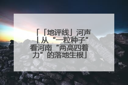「地评线」河声丨从“一粒种子”看河南“两高四着力”的落地生根