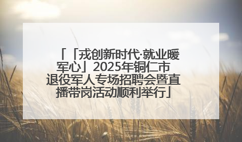 「戎创新时代·就业暖军心」2025年铜仁市退役军人专场招聘会暨直播带岗活动顺利举行