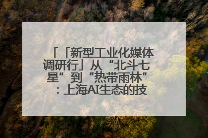 「新型工业化媒体调研行」从“北斗七星”到“热带雨林”：上海AI生态的技术商业共生密码