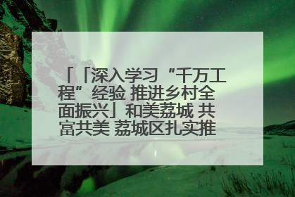 「深入学习“千万工程”经验 推进乡村全面振兴」和美荔城 共富共美 荔城区扎实推进乡村振兴工作