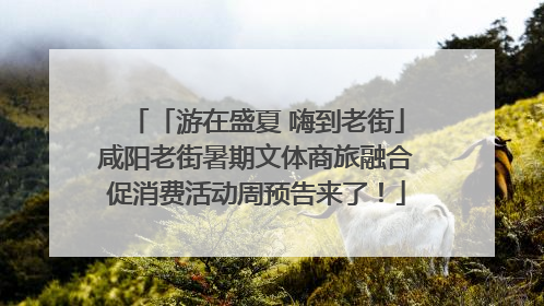 「游在盛夏 嗨到老街」咸阳老街暑期文体商旅融合促消费活动周预告来了！