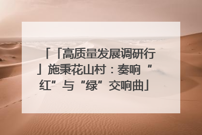 「高质量发展调研行」施秉花山村：奏响“红”与“绿”交响曲