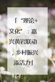 “理论+文化”：嘉兴黄岩联动，乡村振兴添活力