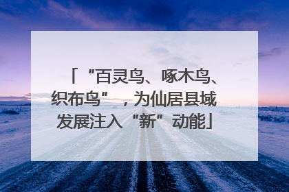“百灵鸟、啄木鸟、织布鸟”，为仙居县域发展注入“新”动能