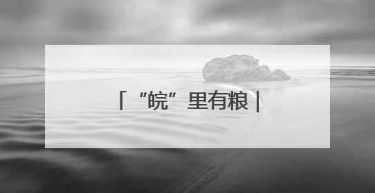 “皖”里有粮｜“三夏”时节，一“皖”麦香