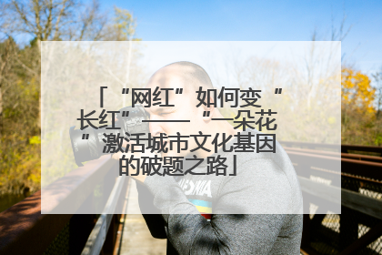 “网红”如何变“长红”——“一朵花”激活城市文化基因的破题之路