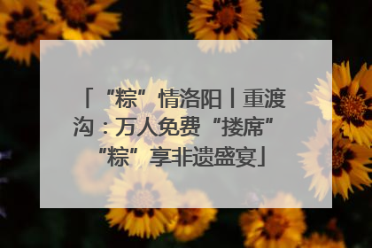 “粽”情洛阳丨重渡沟：万人免费“搂席” “粽”享非遗盛宴