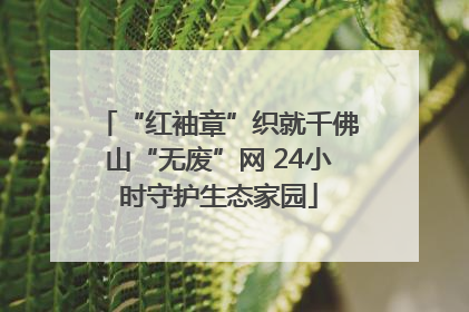 “红袖章”织就千佛山“无废”网 24小时守护生态家园