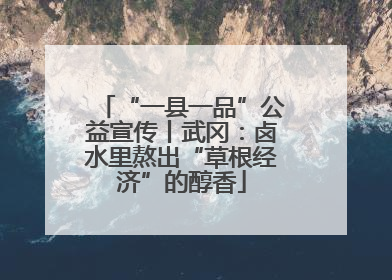 “一县一品”公益宣传丨武冈：卤水里熬出“草根经济”的醇香