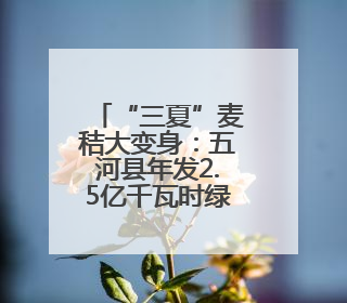 “三夏”麦秸大变身：五河县年发2.5亿千瓦时绿电 供20万吨蒸汽