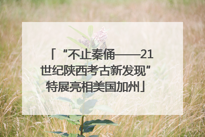 “不止秦俑——21世纪陕西考古新发现”特展亮相美国加州