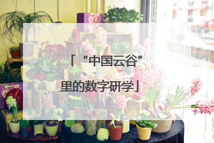 “中国云谷”里的数字研学