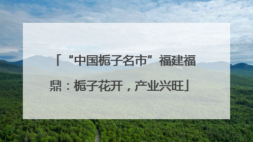 “中国栀子名市”福建福鼎：栀子花开，产业兴旺