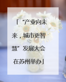 “产业向未来，城市更智慧”发展大会在苏州举办