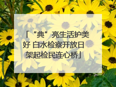 “典”亮生活护美好 白水检察开放日架起检民连心桥