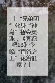 “兄弟团”化身“神鸟”智夺灵珠，《奔跑吧13》今晚“百谷之王”花落谁家？