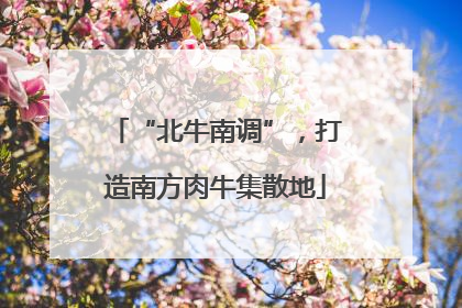 “北牛南调”，打造南方肉牛集散地
