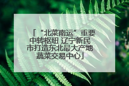“北菜南运”重要中转枢纽 辽宁新民市打造东北最大产地蔬菜交易中心