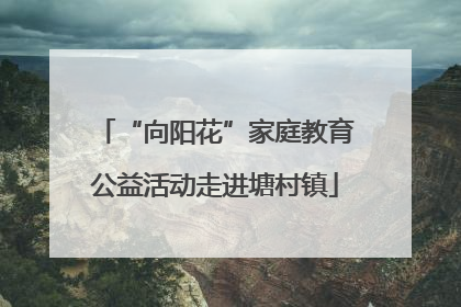 “向阳花”家庭教育公益活动走进塘村镇