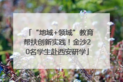 “地域+领域”教育帮扶创新实践！金沙20名学生赴西安研学