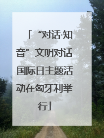 “对话·知音”文明对话国际日主题活动在匈牙利举行
