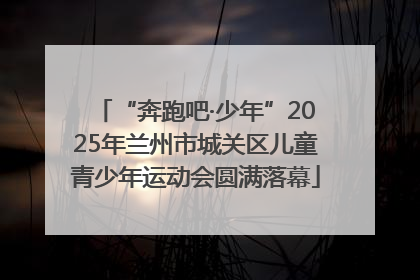 “奔跑吧·少年”2025年兰州市城关区儿童青少年运动会圆满落幕
