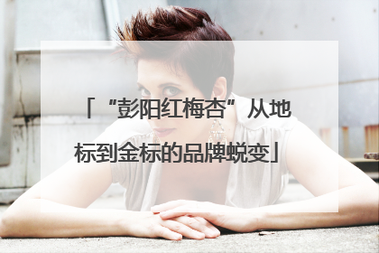 “彭阳红梅杏”从地标到金标的品牌蜕变