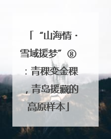“山海情・雪域援梦”⑧：青稞变金稞，青岛援藏的高原样本