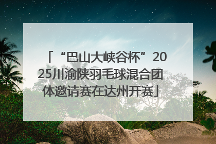 “巴山大峡谷杯”2025川渝陕羽毛球混合团体邀请赛在达州开赛