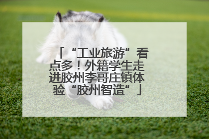 “工业旅游”看点多！外籍学生走进胶州李哥庄镇体验“胶州智造”