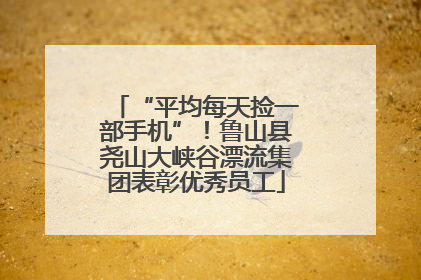 “平均每天捡一部手机”！鲁山县尧山大峡谷漂流集团表彰优秀员工