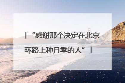 “感谢那个决定在北京环路上种月季的人”