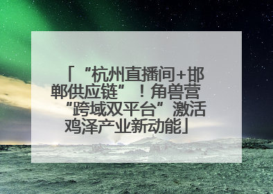 “杭州直播间+邯郸供应链”！角兽营“跨域双平台”激活鸡泽产业新动能