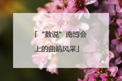 “数说”南博会上的曲靖风采