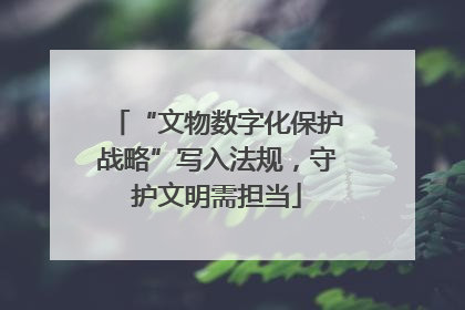 “文物数字化保护战略”写入法规，守护文明需担当