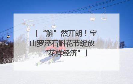“斛”然开朗！宝山罗泾石斛花节绽放“花样经济”
