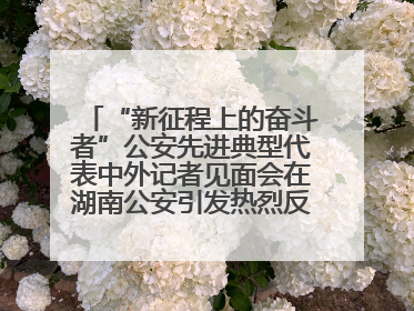 “新征程上的奋斗者”公安先进典型代表中外记者见面会在湖南公安引发热烈反响(二)