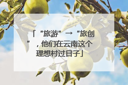 “旅游”→“旅创”，他们在云南这个理想村过日子