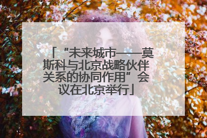 “未来城市——莫斯科与北京战略伙伴关系的协同作用”会议在北京举行
