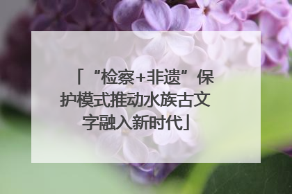 “检察+非遗”保护模式推动水族古文字融入新时代