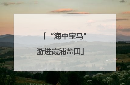 “海中宝马”游进霞浦盐田