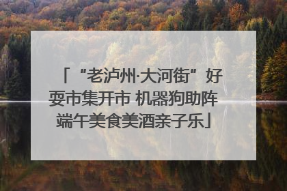 “老泸州·大河街”好耍市集开市 机器狗助阵端午美食美酒亲子乐