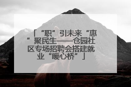 “职”引未来“惠”聚民生——仓园社区专场招聘会搭建就业“暖心桥”