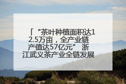 “茶叶种植面积达12.5万亩，全产业链产值达57亿元” 浙江武义茶产业全链发展“加速度”