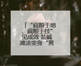 “藏粮于地、藏粮于技”见成效 盐碱滩涂变身“黄金粮仓”