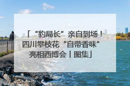 “豹局长”亲自到场！四川攀枝花“自带香味”亮相西博会丨图集