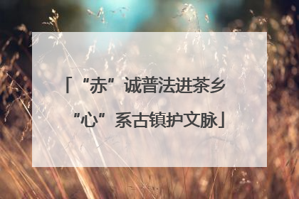 “赤”诚普法进茶乡 “心”系古镇护文脉