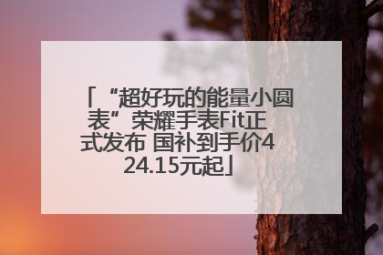 “超好玩的能量小圆表”荣耀手表Fit正式发布 国补到手价424.15元起